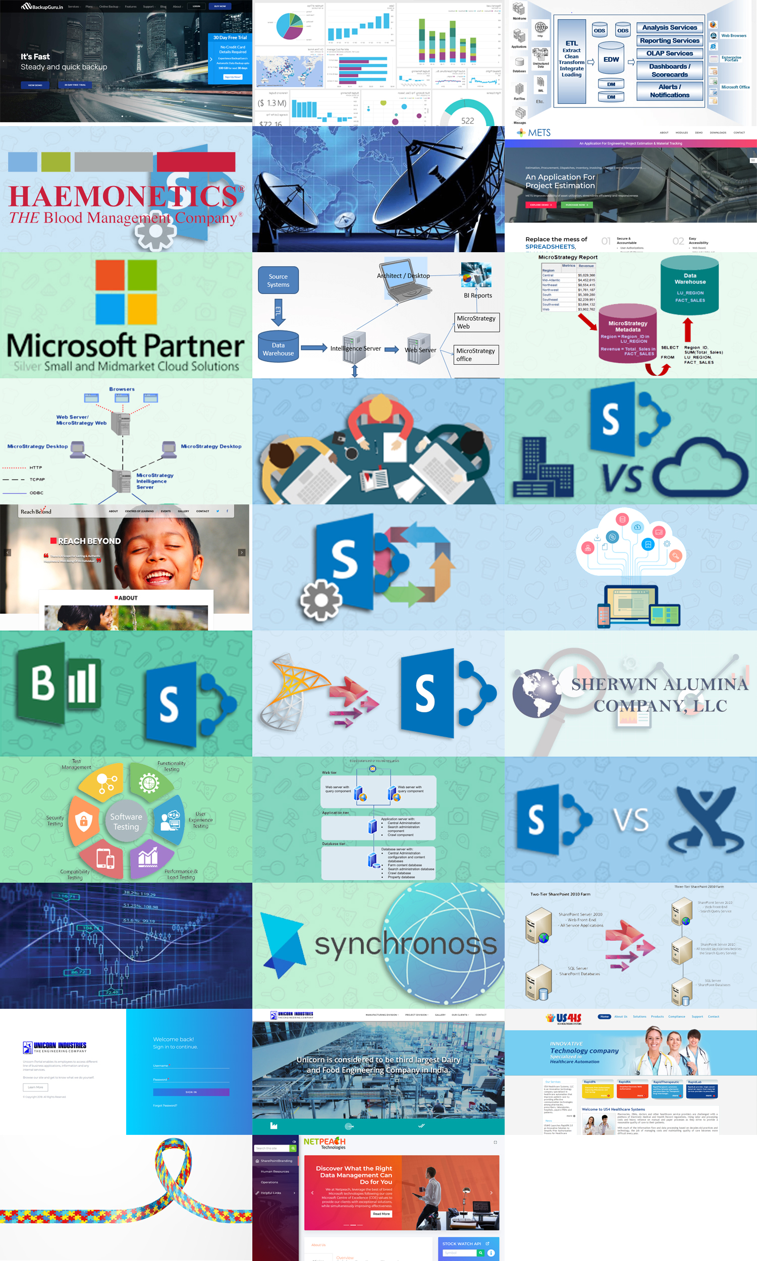 Sharepoint support and managed services for Haemonetics